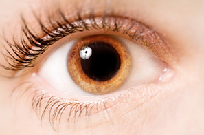 Pupille Descary descary optométristes opticiens Montréal, Plateau Mont-Royal, rue St-Denis